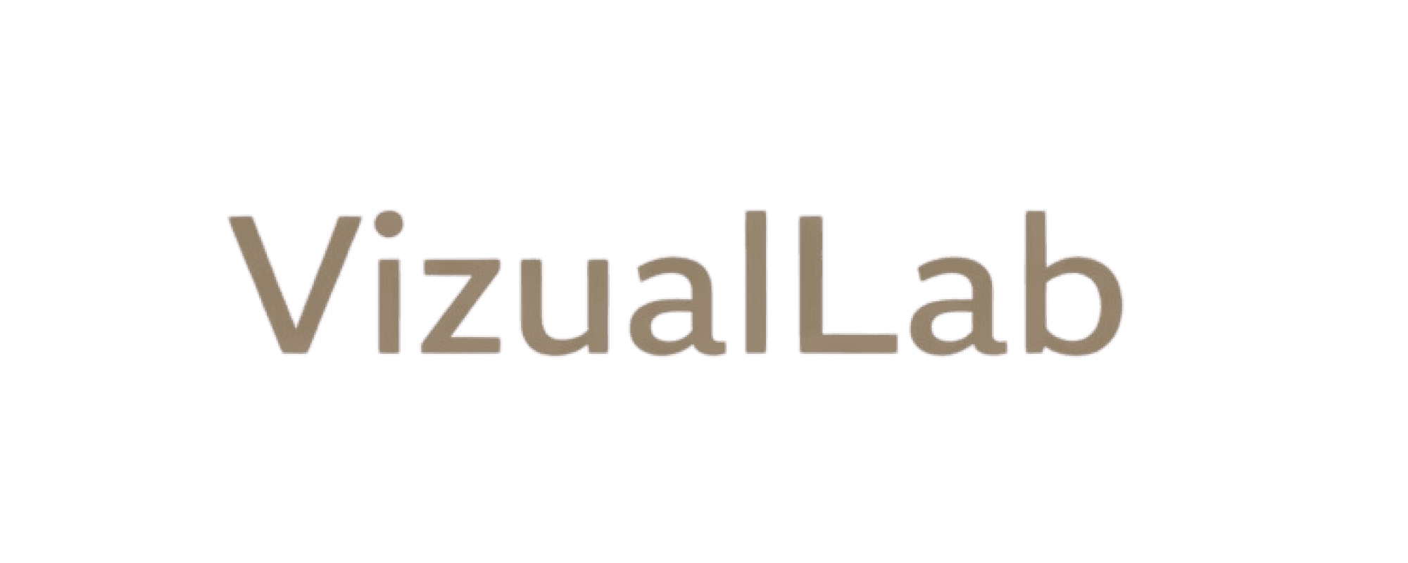VizualLab